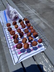 網の下に包み紙を敷いて梅を干している様子