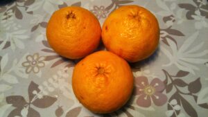 間引きされた硬い夏みかん3個
