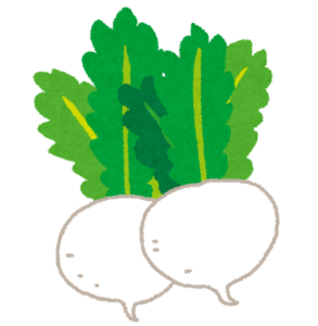 蕪(かぶ)のイラスト